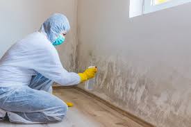 Mold Remediation for Rental Properties in Standish, MI