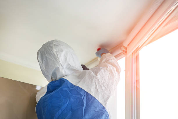 Why You Should Choose Our Mold Remediation Services in Standish, MI